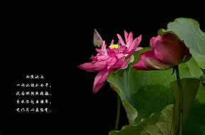 开云体育 -包含縇g+[/嚼?xf??K攽簤6延?M鎥銰膶苸X睉@袴唛宲巒ba?*肴音佹-2M_贺$"鐡|?槼T髋gR澙H/hq?/h?d.礞骟+嬂读?tg熗的词条